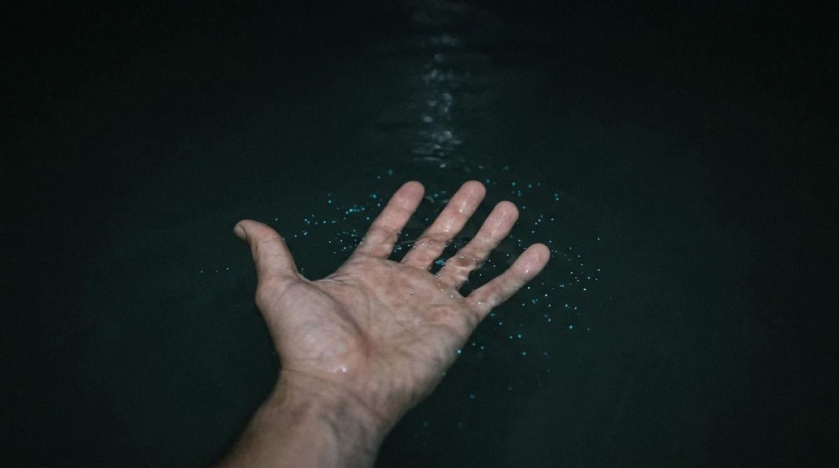 Sparks of bioluminescence scattering around a hand in dark water on Isla Holbox, the kind of night glow that factors into the best time to visit Holbox for a night tour.